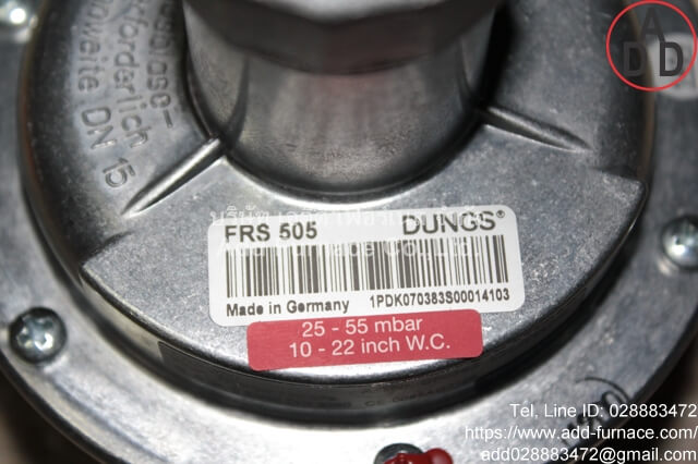 FRS505 Dungs (2)